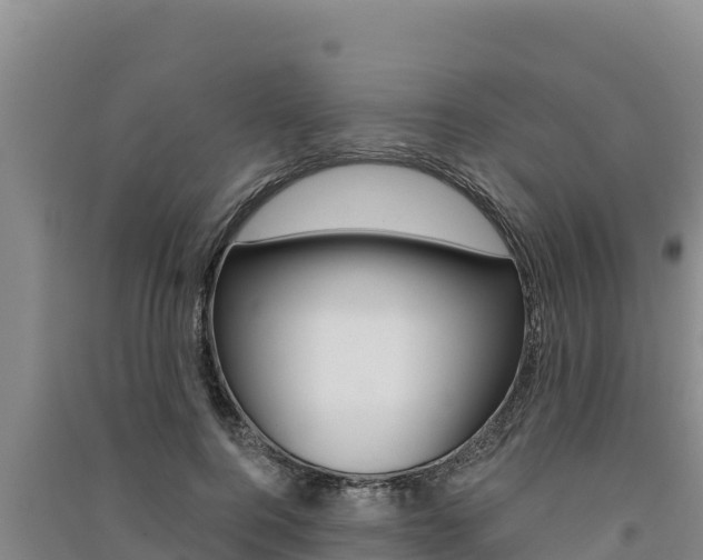 X0000091560744200708171101