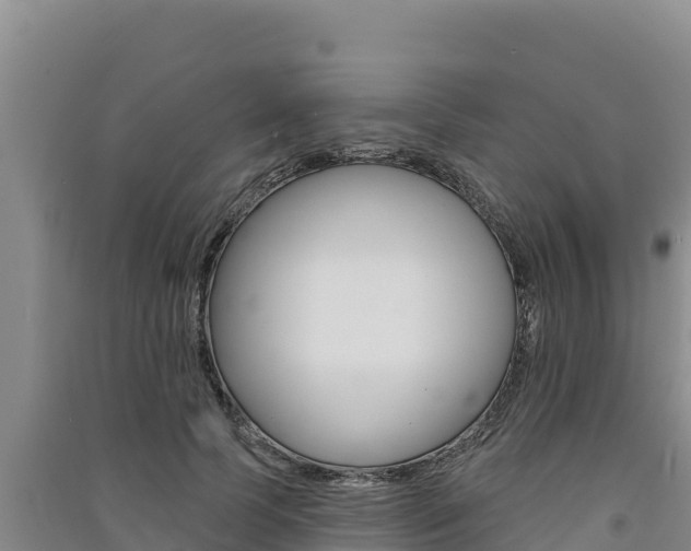 X0000091560745200708171101