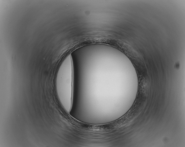 X0000091560746200708171101