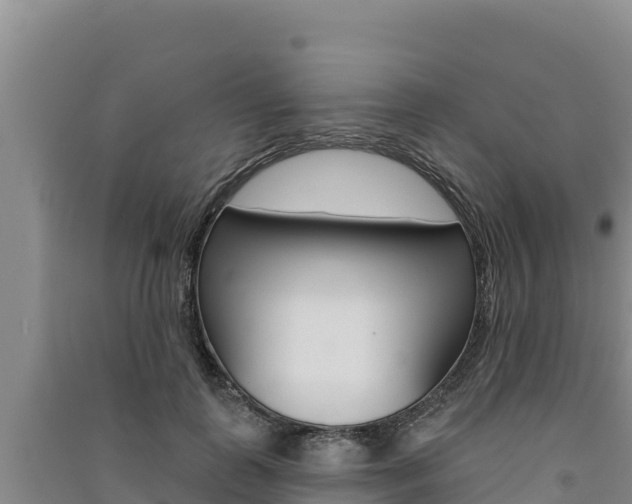 X0000091560747200708171101