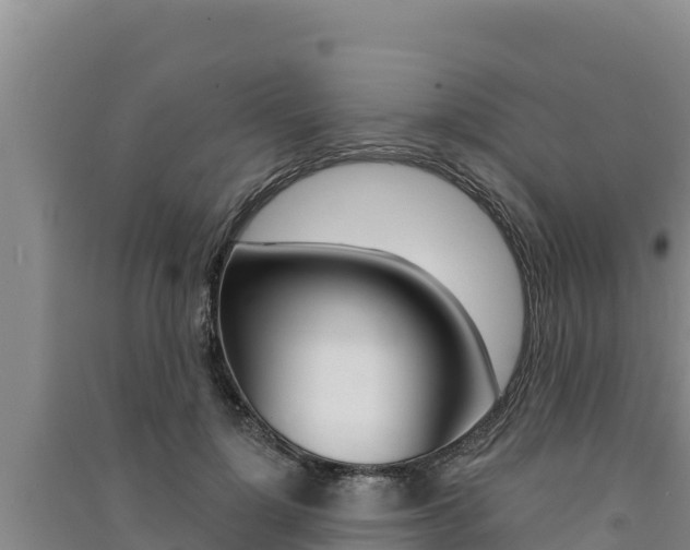 X0000091560748200708171101