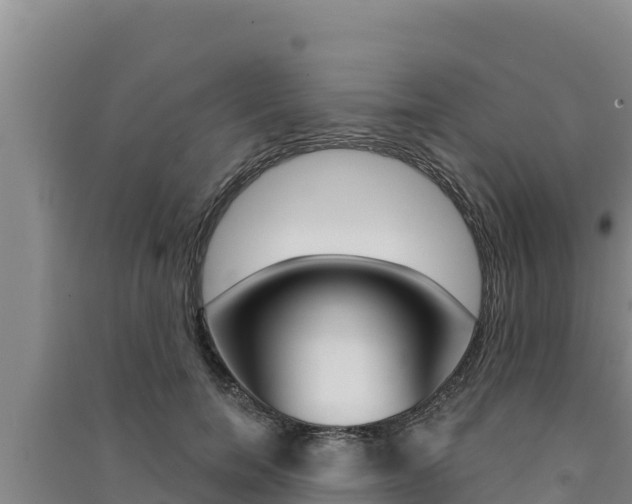X0000091560750200708171101