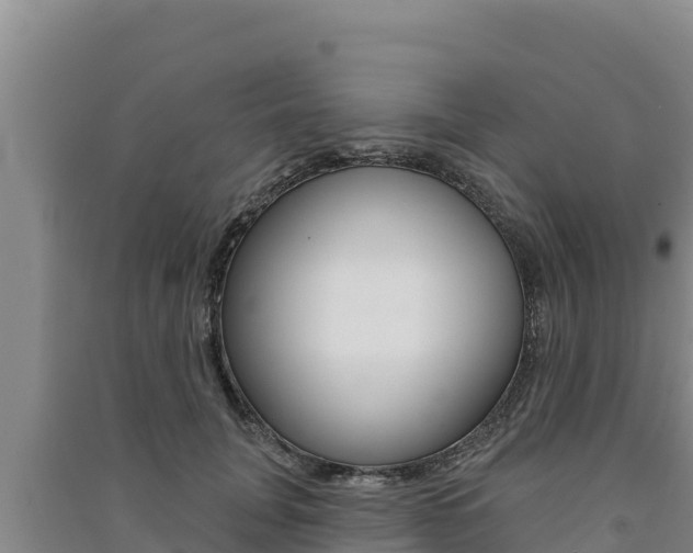 X0000091560751200708171101