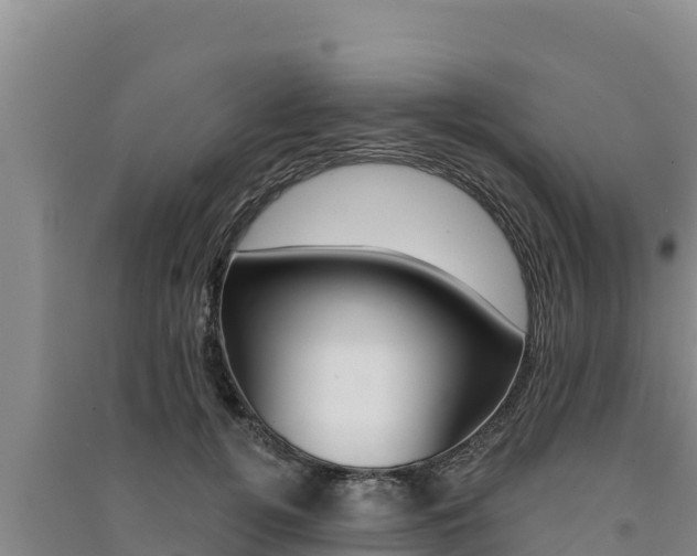 X0000091560752200708171101