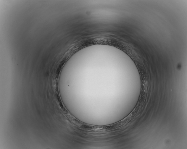 X0000091560753200708171101
