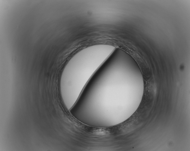X0000091560754200708171101