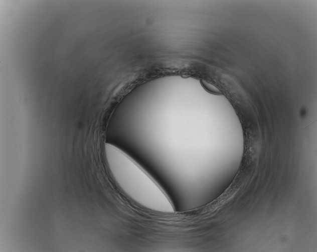 X0000091560758200708171101