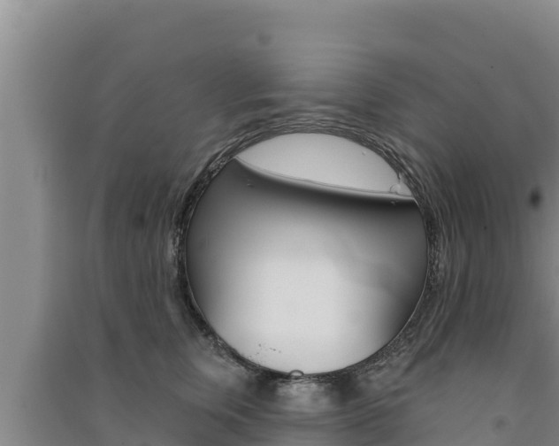 X0000091560759200708171101