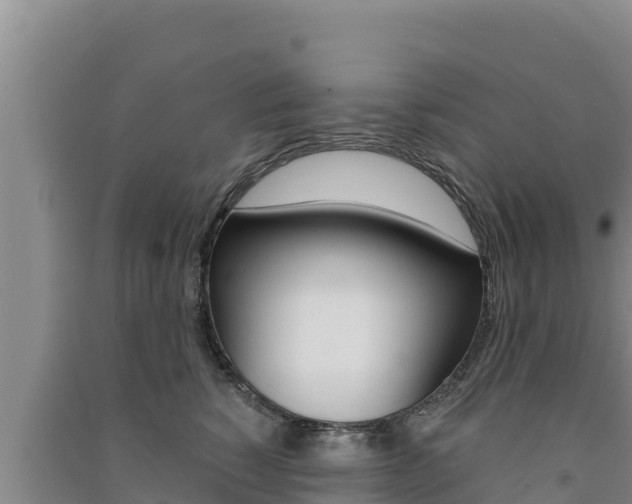 X0000091560760200708171101