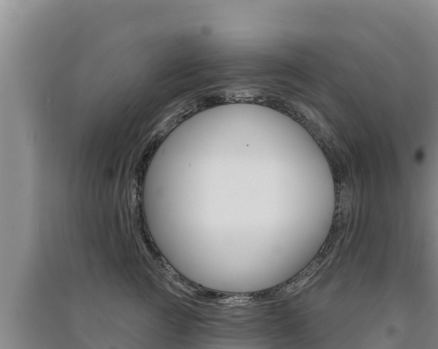 X0000091560761200708171101