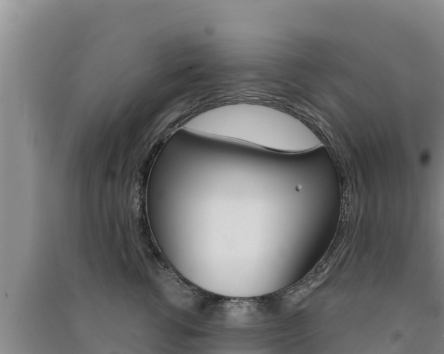 X0000091560762200708171101