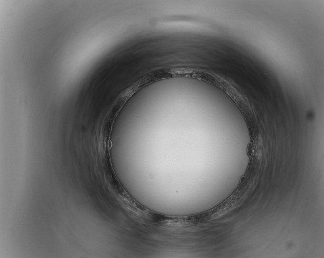 X0000091560763200708171101
