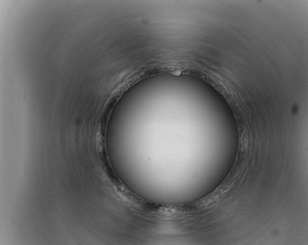 X0000091560764200708171101