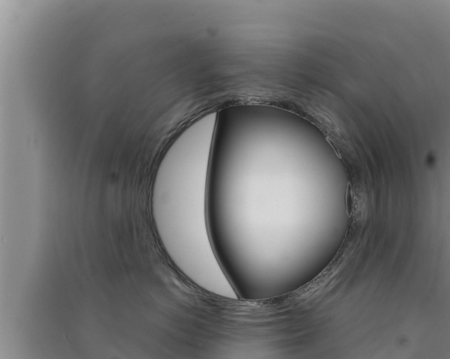 X0000091560766200708171101