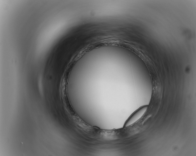 X0000091560767200708171101