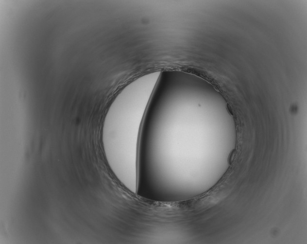 X0000091560768200708171101