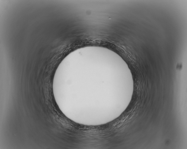 X0000091560769200708171100