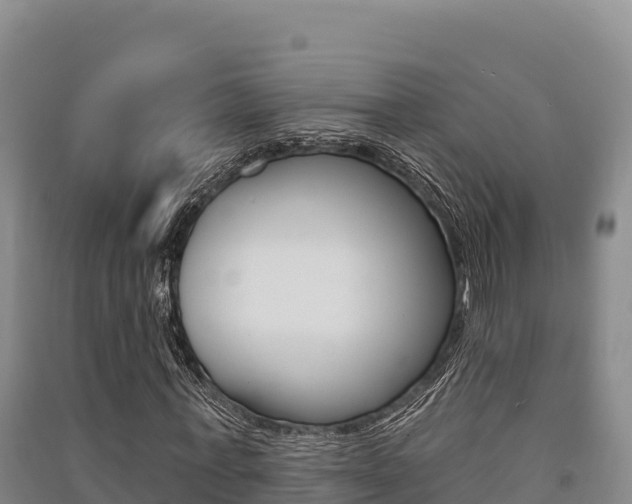 X0000091560771200708171100