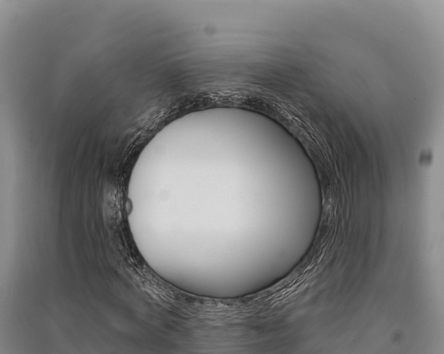 X0000091560772200708171100
