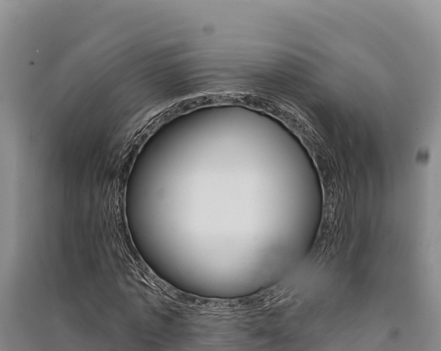 X0000091560773200708171100