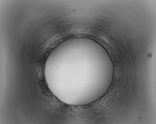 X0000091560774200708171100