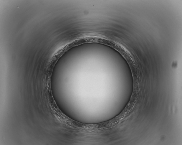 X0000091560775200708171100