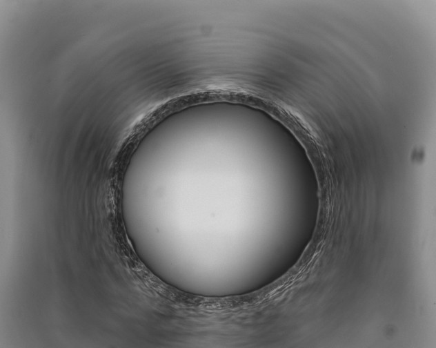X0000091560776200708171100