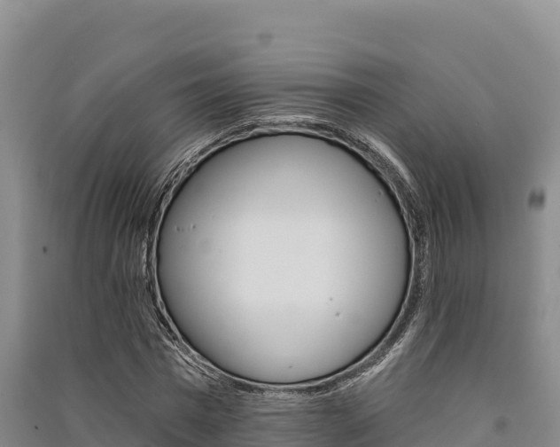 X0000091560777200708171100