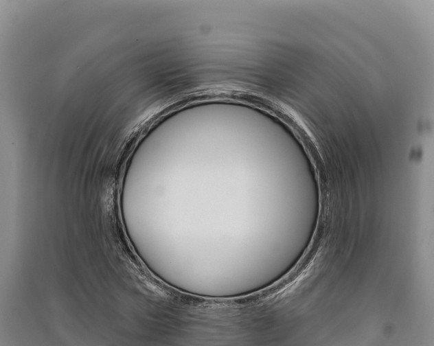 X0000091560778200708171100