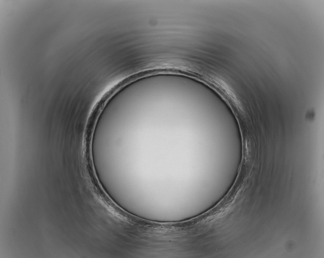 X0000091560780200708171100