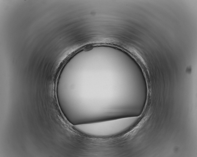 X0000091560781200708171100