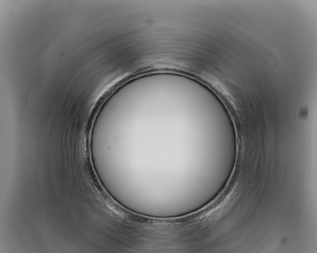 X0000091560782200708171100
