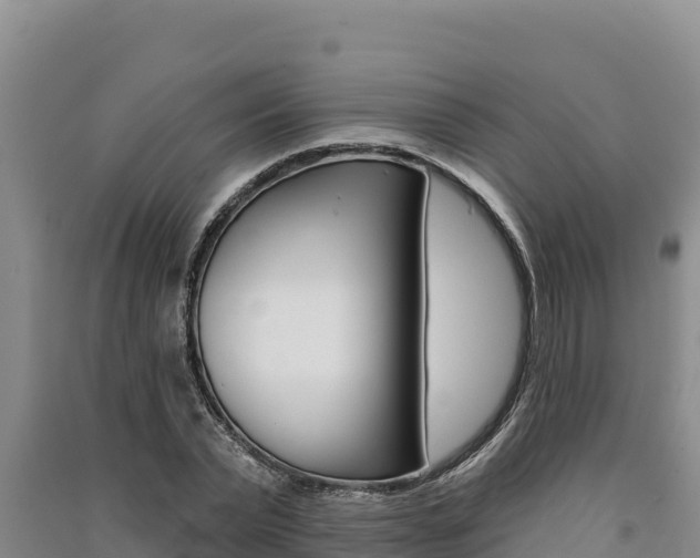 X0000091560783200708171100