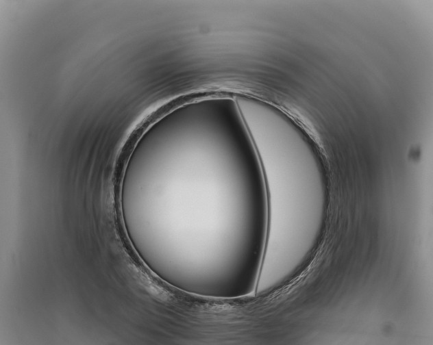 X0000091560784200708171100