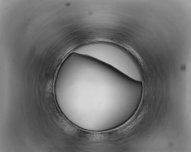 X0000091560785200708171100