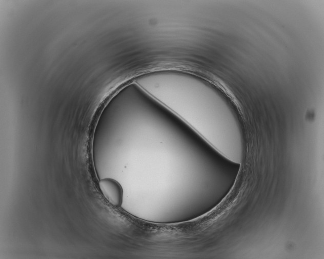 X0000091560786200708171100