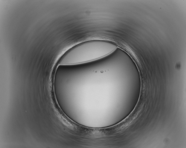 X0000091560787200708171100