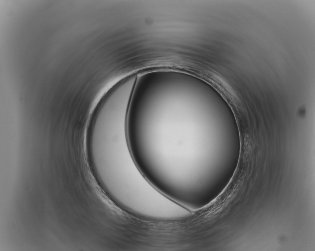 X0000091560788200708171100