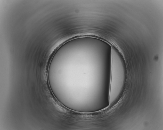 X0000091560789200708171100