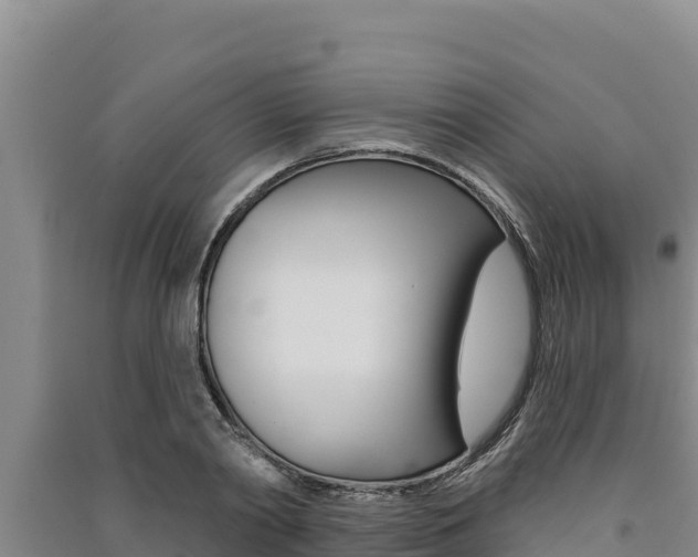 X0000091560790200708171100