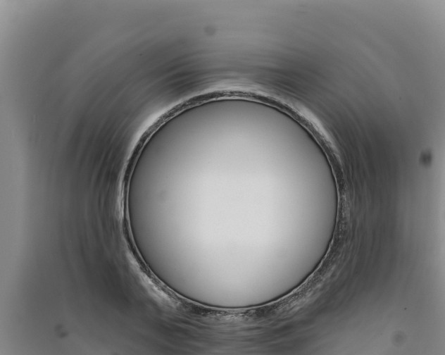 X0000091560791200708171100