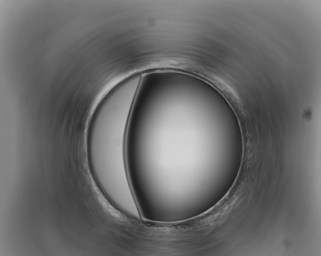X0000091560792200708171100