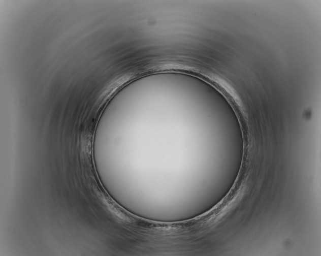 X0000091560793200708171100