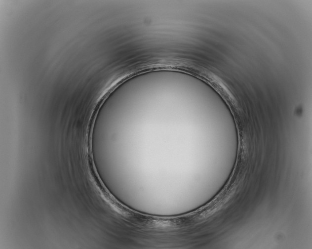 X0000091560794200708171100