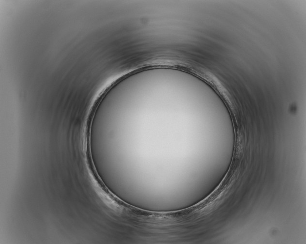X0000091560795200708171100