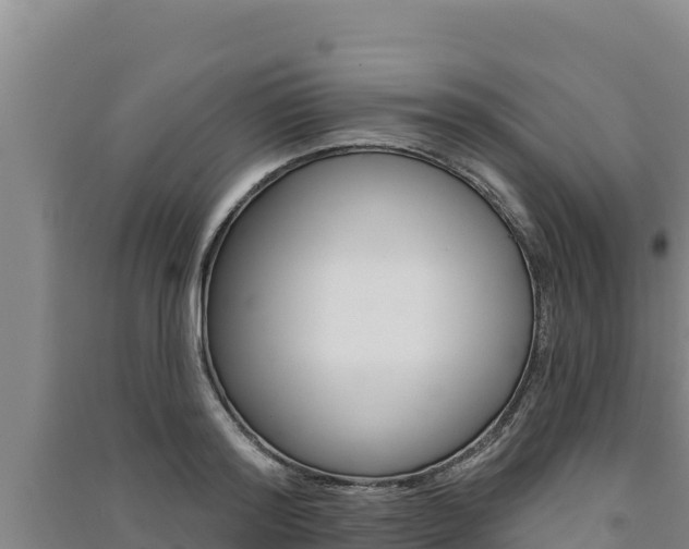 X0000091560796200708171100