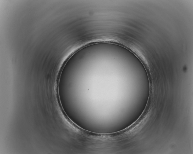 X0000091560797200708171100