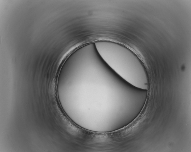 X0000091560798200708171100