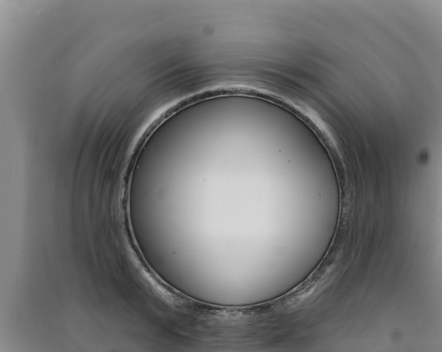 X0000091560799200708171100