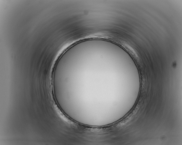 X0000091560800200708171100